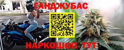 Альфа ПВП Будённовск