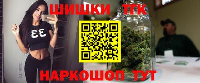 Альфа ПВП Будённовск