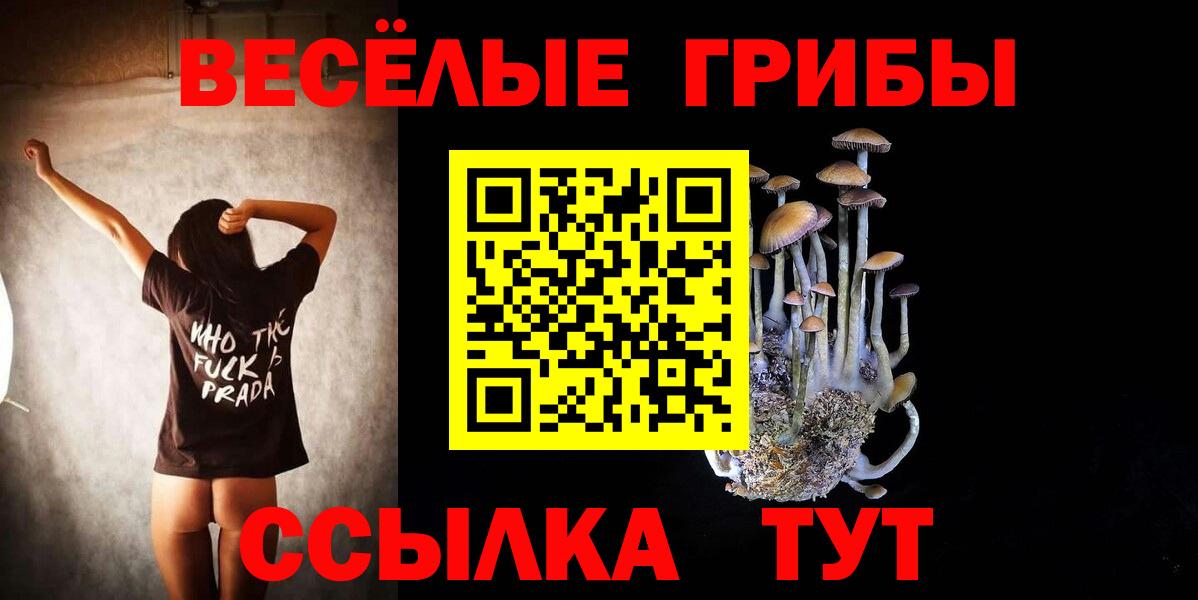 Махачкала  где купить наркотик  Вход с VPN  Псилоцибиновые грибы прущие грибы 